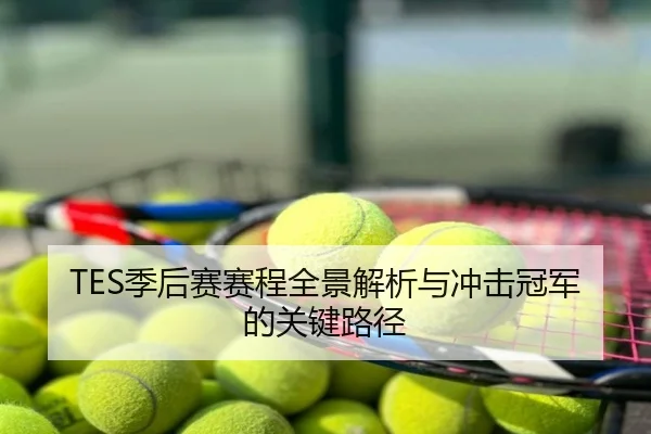 TES季后赛赛程全景解析与冲击冠军的关键路径
