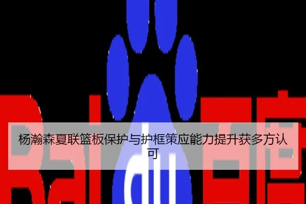 杨瀚森夏联篮板保护与护框策应能力提升获多方认可