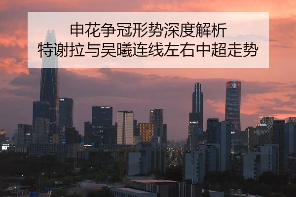 申花争冠形势深度解析 特谢拉与吴曦连线左右中超走势